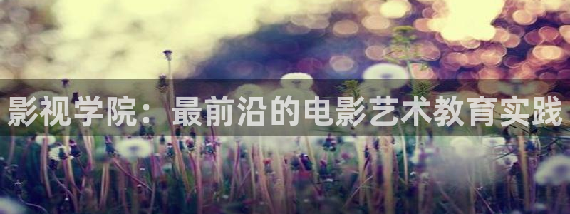 左手吃斋桃子影视