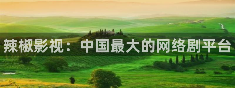 桃子影院入口网站