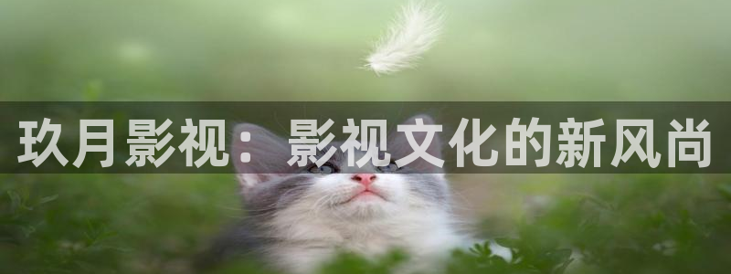 一色桃子电影在线播放